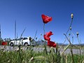 Ανεβαίνει η θερμοκρασία το Σαββατοκύριακο 